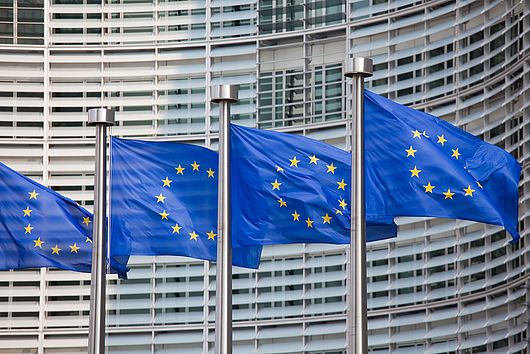 Politische Forderungen zur Europawahl 2014 Politische Forderungen zur Europawahl 2014